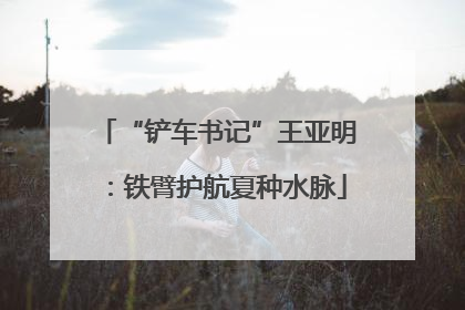 “铲车书记”王亚明：铁臂护航夏种水脉