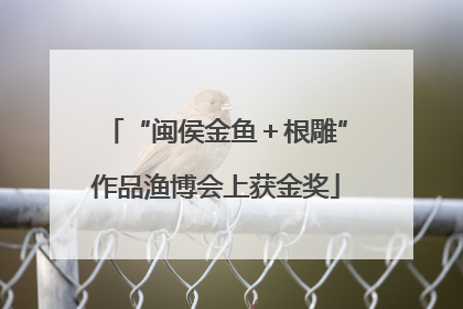 “闽侯金鱼＋根雕”作品渔博会上获金奖