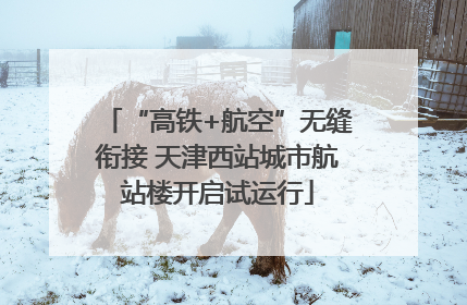 “高铁+航空”无缝衔接 天津西站城市航站楼开启试运行
