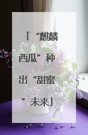 “麒麟西瓜”种出“甜蜜”未来