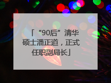 “90后”清华硕士潘正道，正式任职副局长