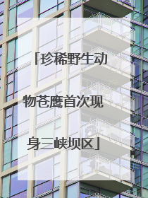珍稀野生动物苍鹰首次现身三峡坝区
