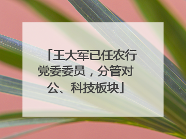 王大军已任农行党委委员，分管对公、科技板块