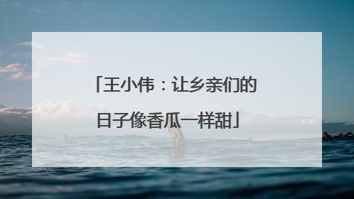 王小伟：让乡亲们的日子像香瓜一样甜