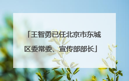 王智勇已任北京市东城区委常委、宣传部部长