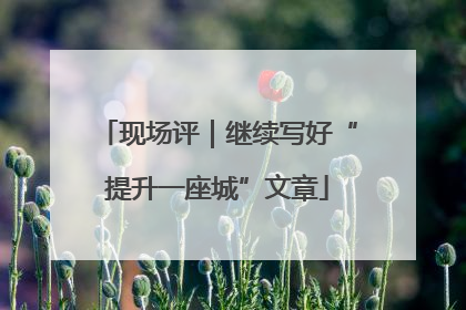 现场评｜继续写好“提升一座城”文章