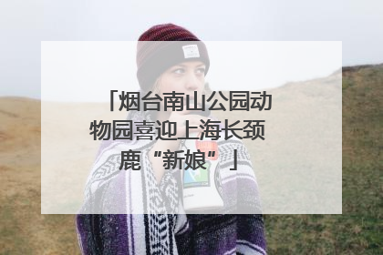 烟台南山公园动物园喜迎上海长颈鹿“新娘”