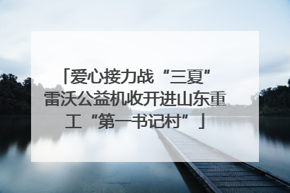 爱心接力战“三夏” 雷沃公益机收开进山东重工“第一书记村”
