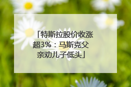 特斯拉股价收涨超3%：马斯克父亲劝儿子低头