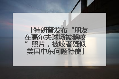 特朗普发布“朋友在高尔夫球场被鹅咬”照片，被咬者疑似美国中东问题特使