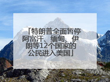 特朗普全面暂停阿富汗、缅甸、伊朗等12个国家的公民进入美国