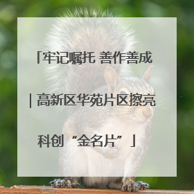 牢记嘱托 善作善成｜高新区华苑片区擦亮科创“金名片”