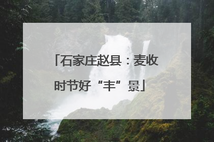 石家庄赵县：麦收时节好“丰”景