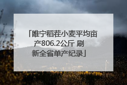 睢宁稻茬小麦平均亩产806.2公斤 刷新全省单产纪录