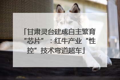 甘肃灵台建成自主繁育“芯片”：红牛产业“性控”技术弯道超车