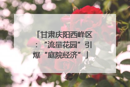 甘肃庆阳西峰区：“流量花园”引爆“庭院经济”