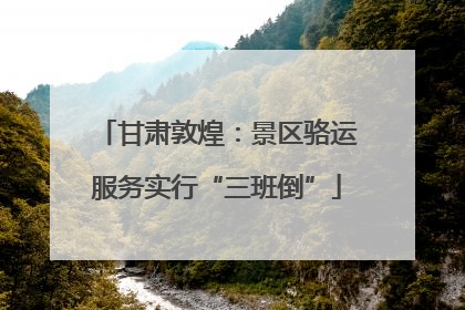 甘肃敦煌：景区骆运服务实行“三班倒”