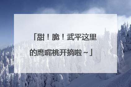 甜！脆！武平这里的鹰嘴桃开摘啦～