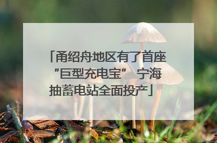 甬绍舟地区有了首座“巨型充电宝” 宁海抽蓄电站全面投产