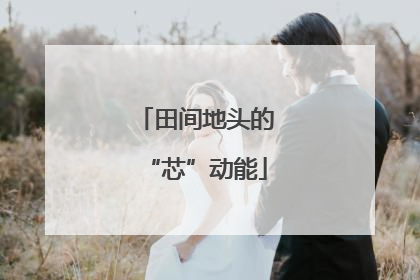 田间地头的“芯”动能