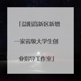 益阳高新区新增一家省级大学生创业指导工作室