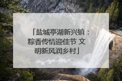 盐城亭湖新兴镇：粽香传情迎佳节 文明新风润乡村