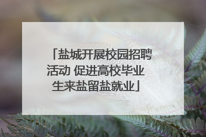 盐城开展校园招聘活动 促进高校毕业生来盐留盐就业