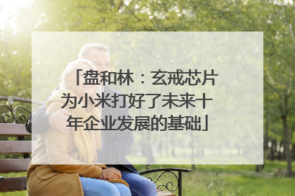 盘和林：玄戒芯片为小米打好了未来十年企业发展的基础