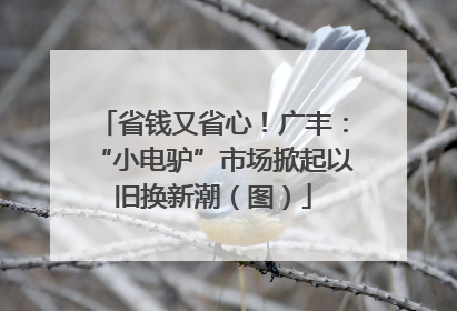 省钱又省心！广丰：“小电驴”市场掀起以旧换新潮（图）