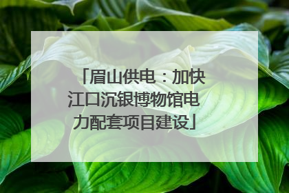 眉山供电：加快江口沉银博物馆电力配套项目建设
