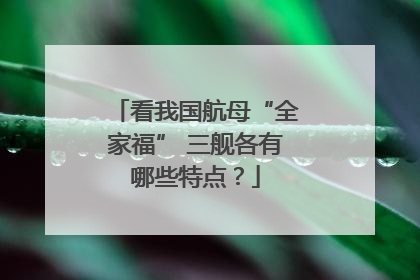 看我国航母“全家福” 三舰各有哪些特点？