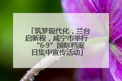 筑梦现代化，兰台启新程，咸宁市举行“6·9”国际档案日集中宣传活动
