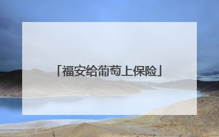 福安给葡萄上保险
