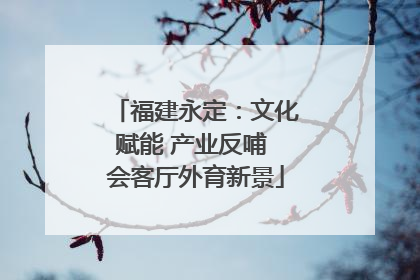 福建永定：文化赋能 产业反哺 会客厅外育新景