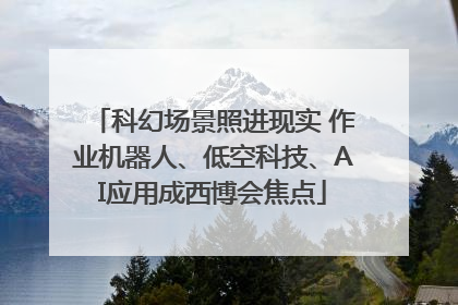 科幻场景照进现实 作业机器人、低空科技、AI应用成西博会焦点