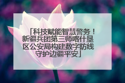 科技赋能智慧警务！新疆兵团第三师喀什垦区公安局构建数字防线守护边疆平安