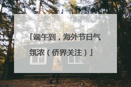 端午到，海外节日气氛浓（侨界关注）