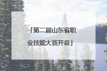 第二届山东省职业技能大赛开幕