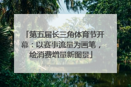 第五届长三角体育节开幕：以赛事流量为画笔，绘消费增量新图景
