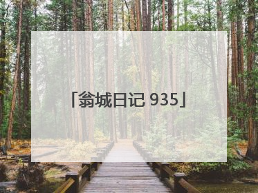 翁城日记 935