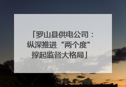 罗山县供电公司：纵深推进“两个度” 撑起监督大格局