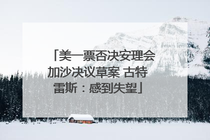美一票否决安理会加沙决议草案 古特雷斯：感到失望