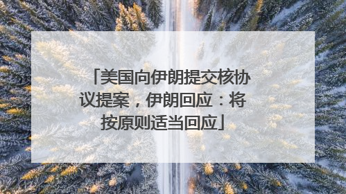 美国向伊朗提交核协议提案，伊朗回应：将按原则适当回应