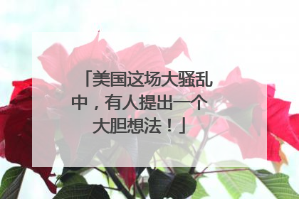 美国这场大骚乱中，有人提出一个大胆想法！