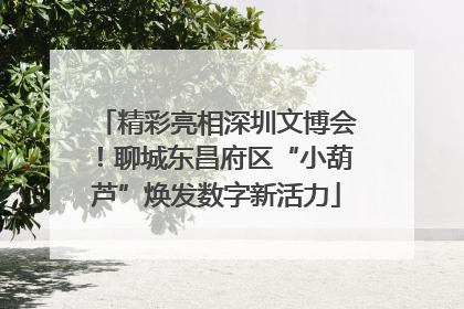 精彩亮相深圳文博会！聊城东昌府区“小葫芦”焕发数字新活力