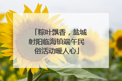 粽叶飘香，盐城射阳临海镇端午民俗活动暖人心