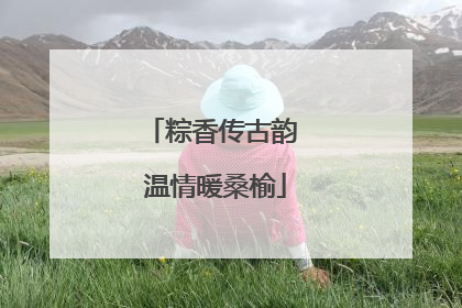 粽香传古韵 温情暖桑榆