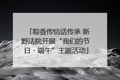 粽香传情话传承 新野法院开展“我们的节日・端午”主题活动