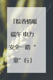 粽香情暖端午 电力安全一路“童”行