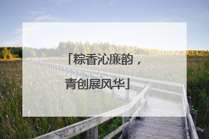 粽香沁廉韵，青创展风华